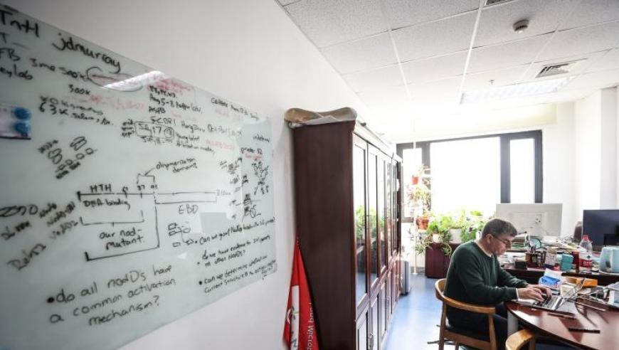 男宝先天性腹裂 肠胃裸露在外,2025澳门六开彩开奖结果查询表下载最新版,整体规划执行讲解_GM版V9.68