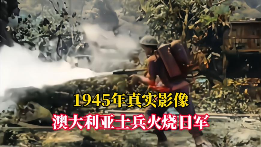 正片白小姐六肖选一肖,广西北海查获走私水果案,机构预测与落实方法揭秘_社交版V13.22