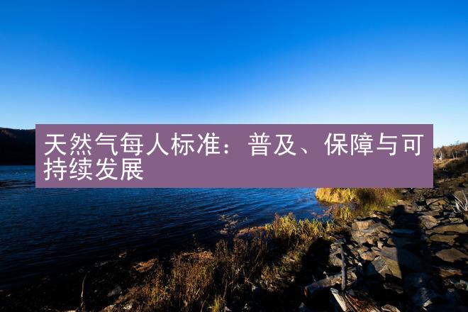 天然气每人标准：普及、保障与可持续发展